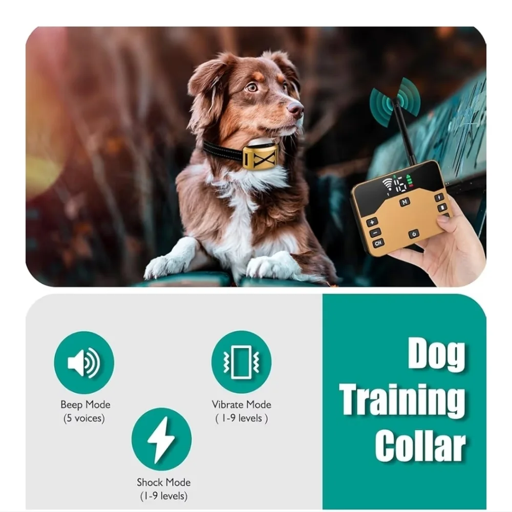Wireless Dog Fence